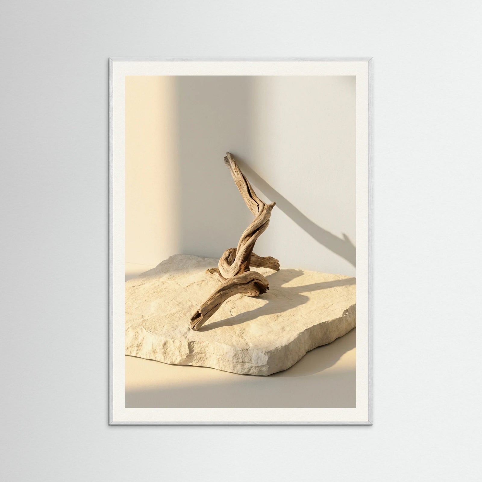 White Wood Quiet Stillness