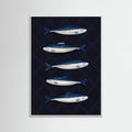 Affiche Sardines – affiche et impression d’art