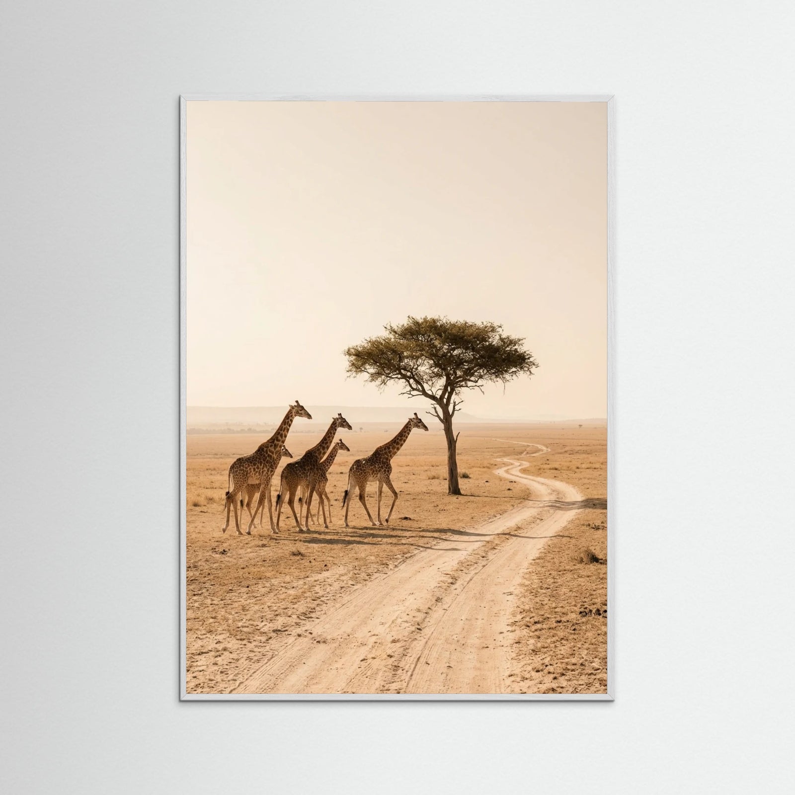 White Wood Savanna Ascent