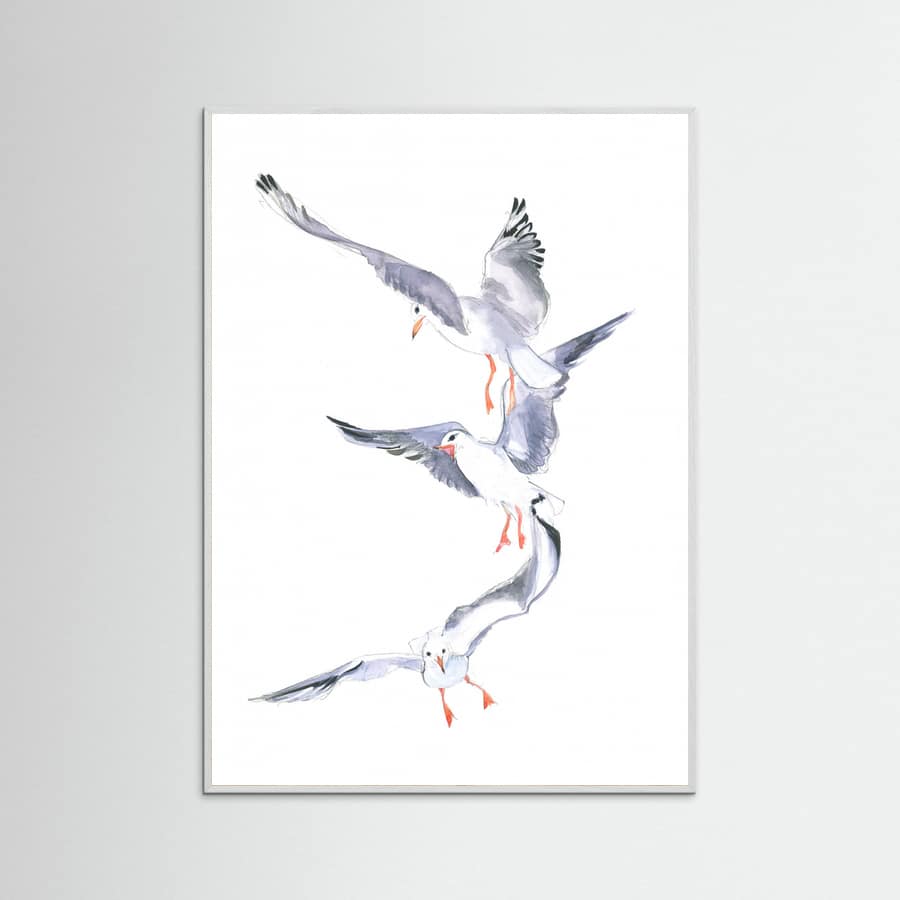 Poster Seagull Flight – poster e stampa artistica