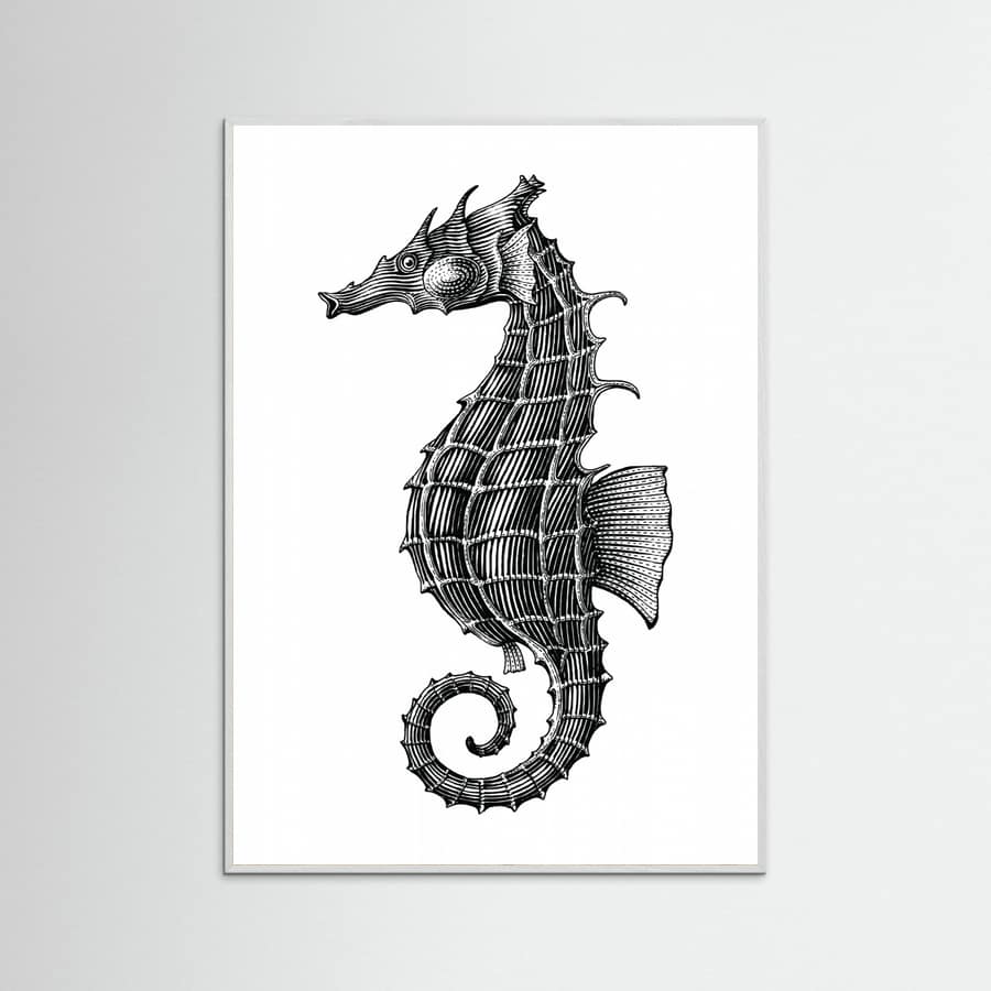 Affiche Seahorse – affiche et impression d’art