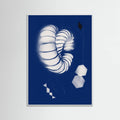 Póster Seashell Ornaments – póster e impresión artística