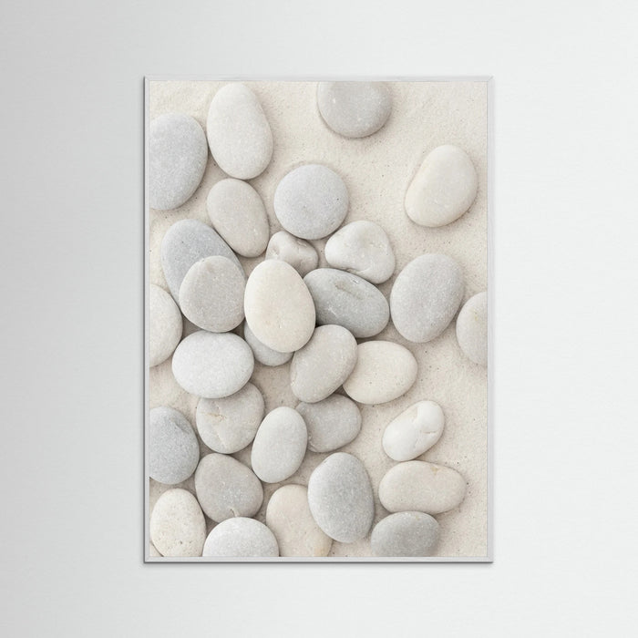 White Wood Seashell Serenity