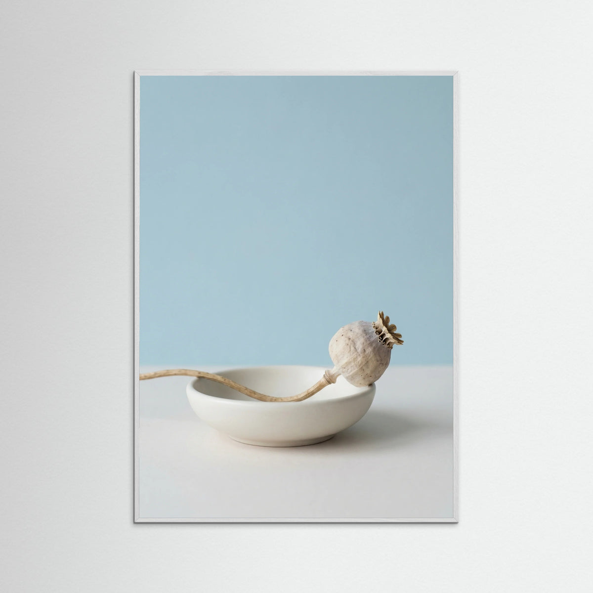 White Wood Serene Foliage