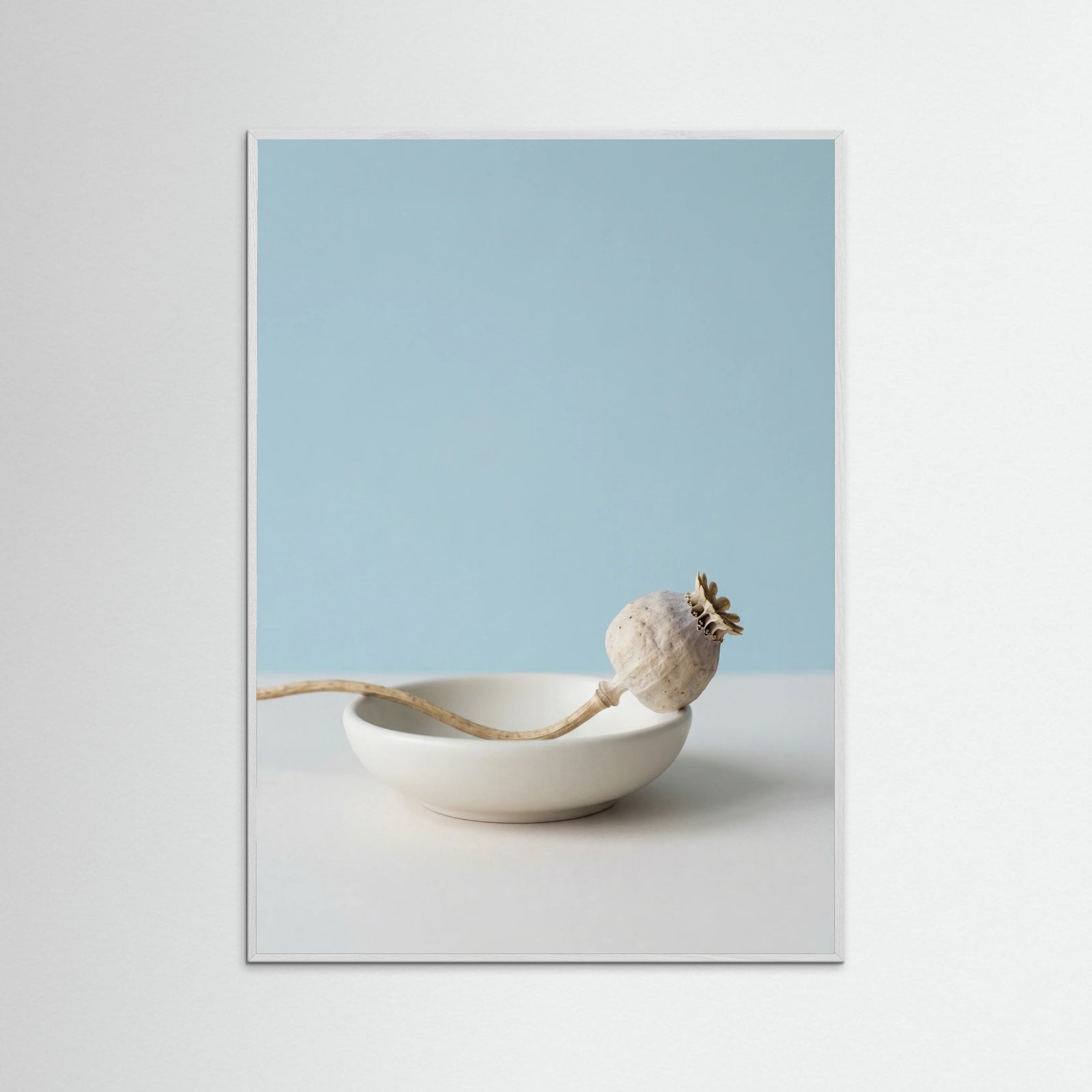 White Wood Serene Foliage