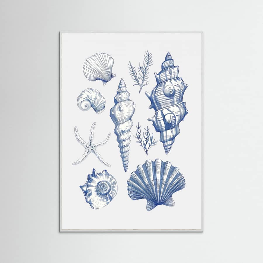 Plakat Shell Collage – plakat i druk artystyczny