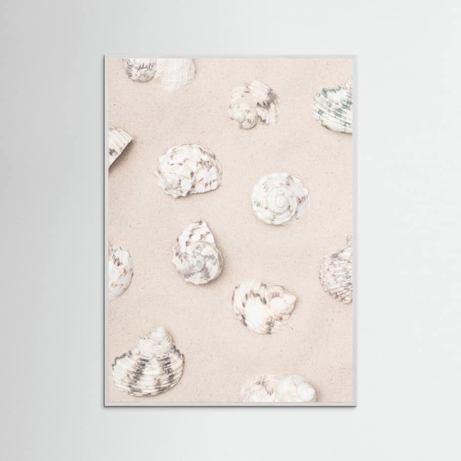 Shells_2 Poster – Poster und Kunstdruck