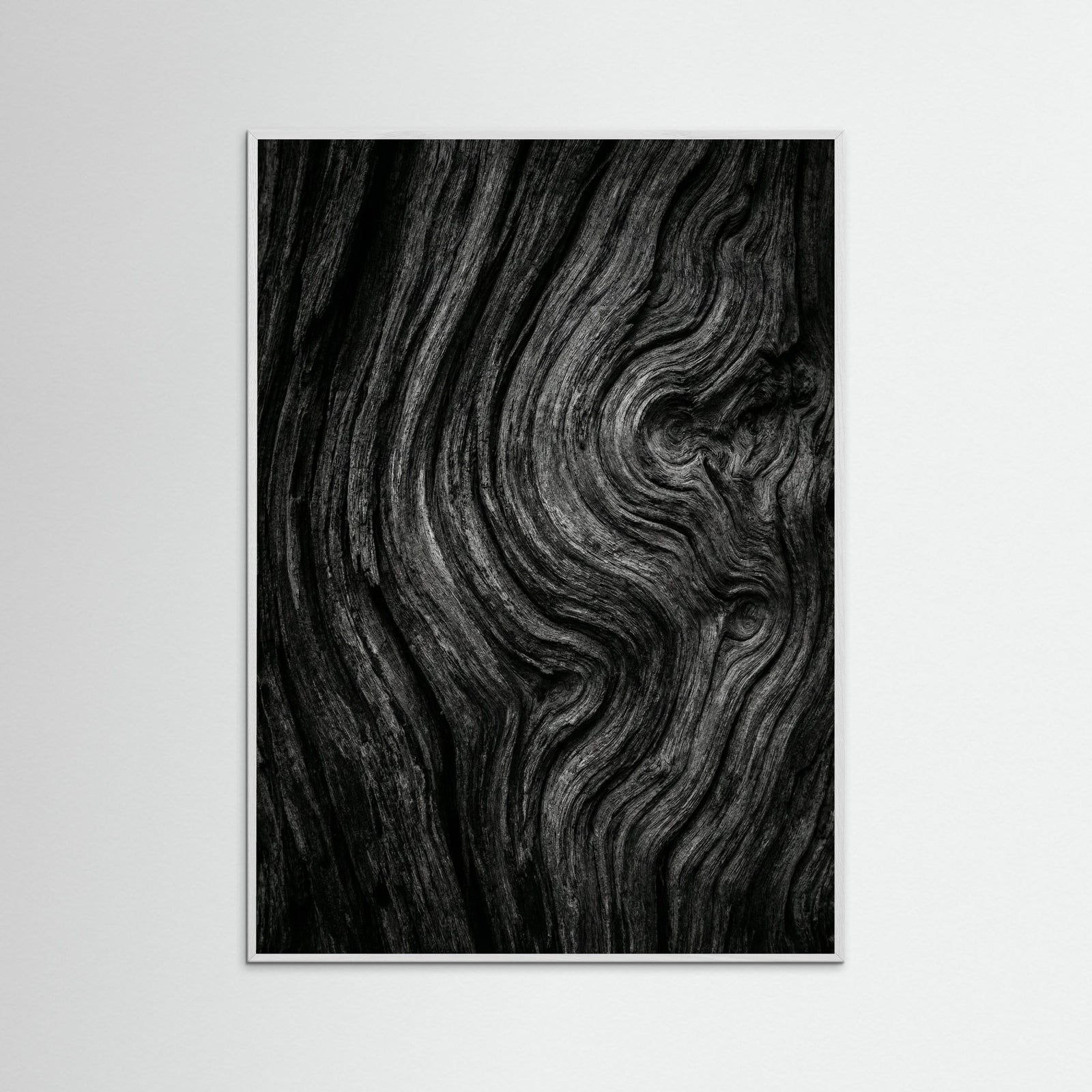 White Wood Silent Leaves