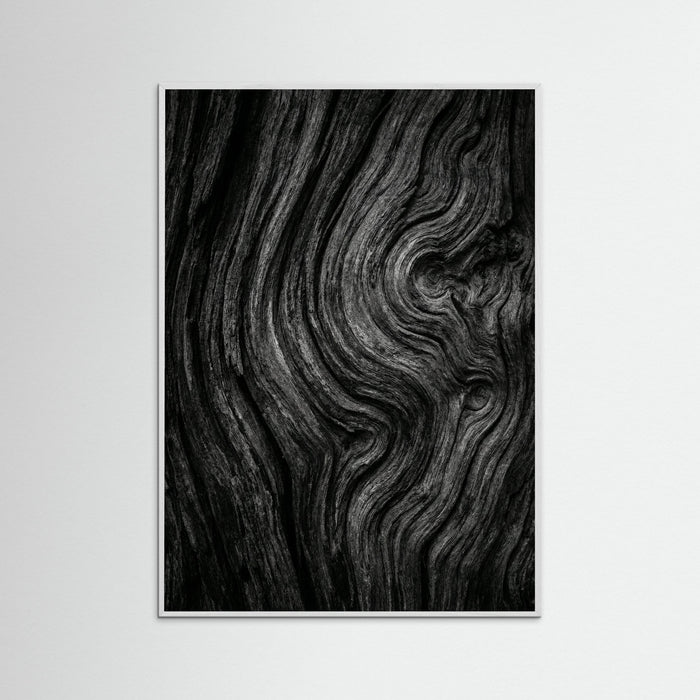 White Wood Silent Leaves