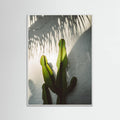 White Wood Socal Shadows Poster