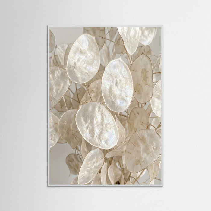 White Wood Soft Petal Dreams