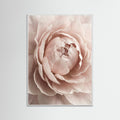 White Wood Soft Petal Embrace