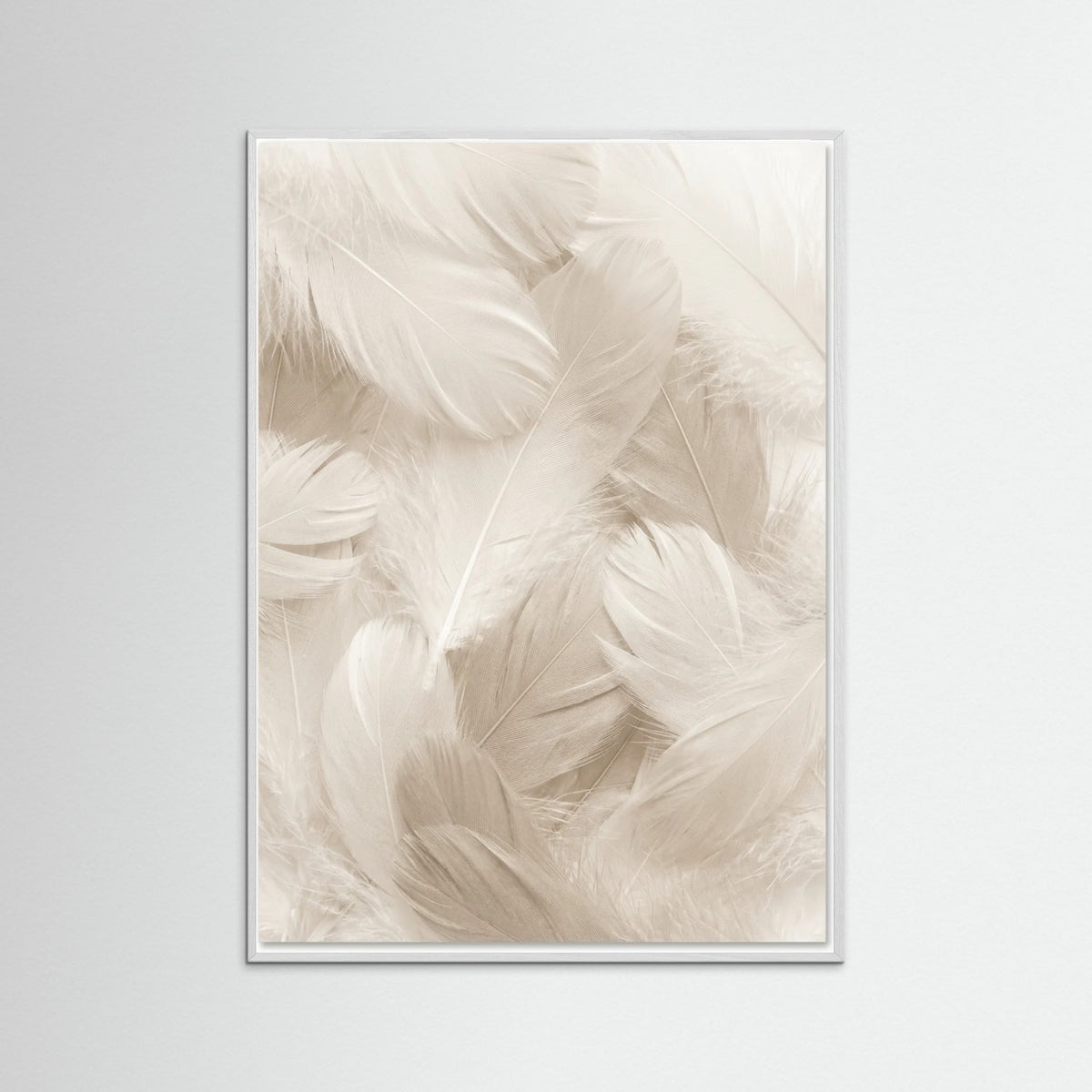 White Wood Soft Petals