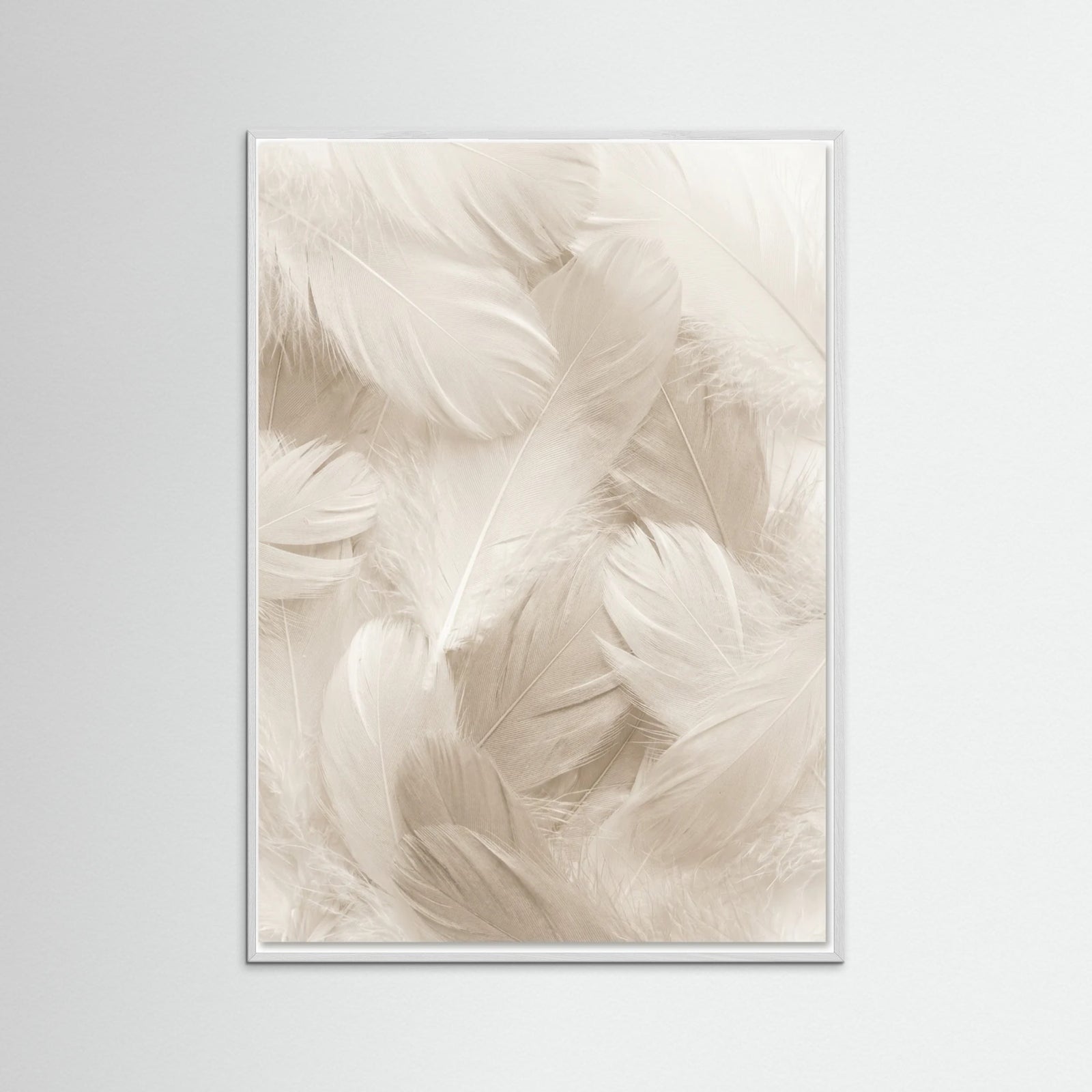 White Wood Soft Petals