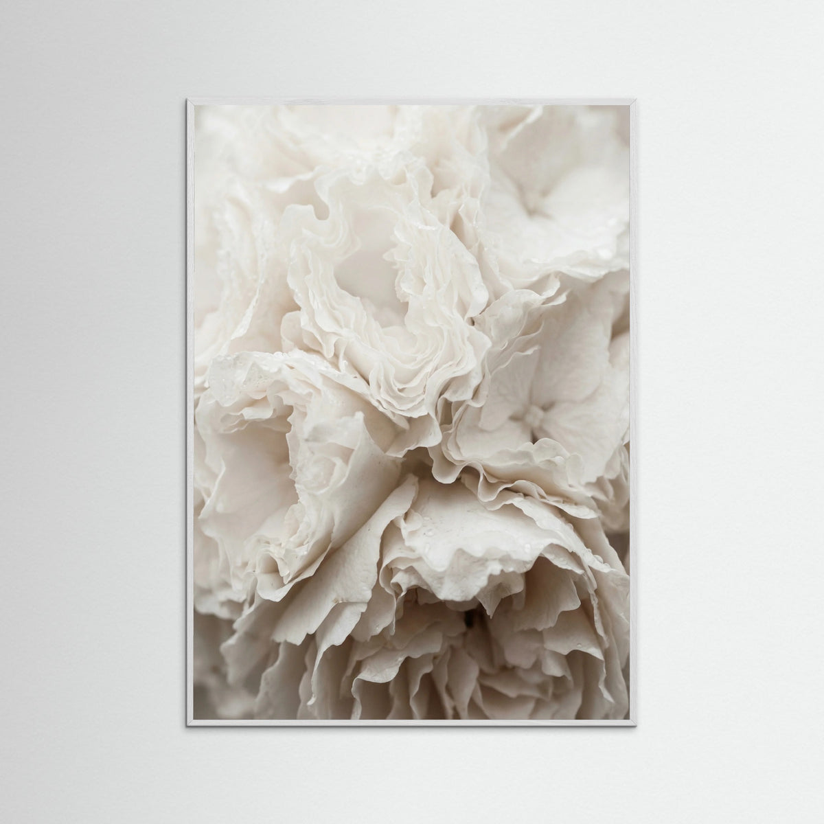 White Wood Soft Petals