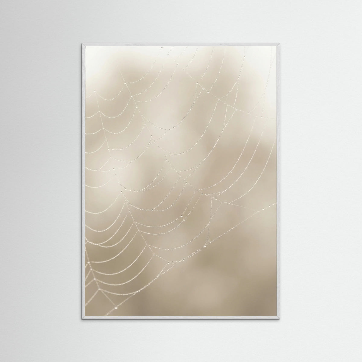 White Wood Soft Plume