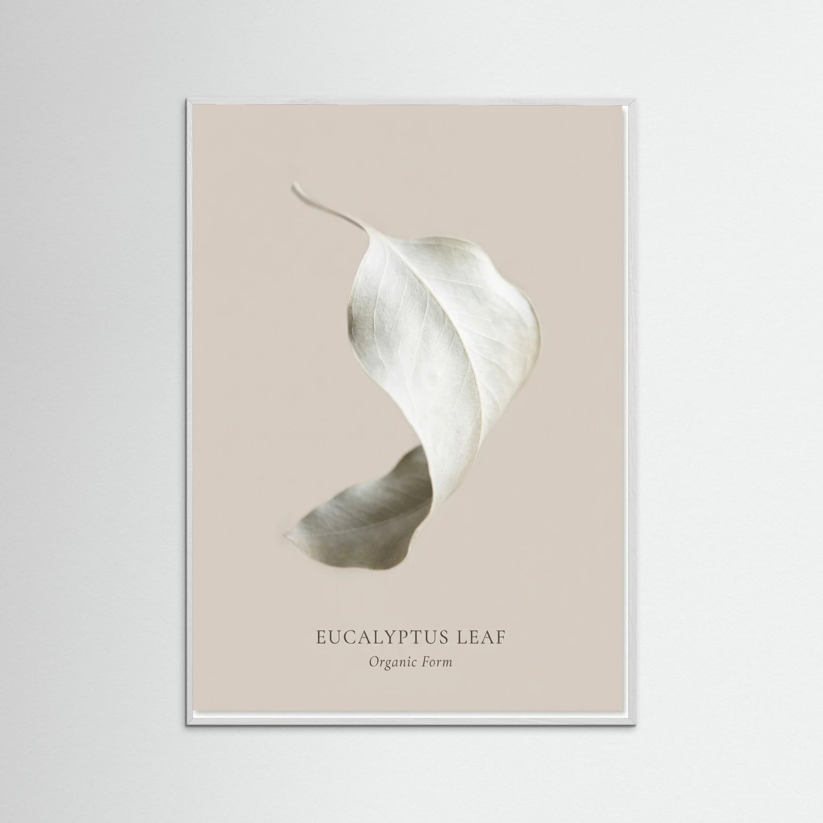 White Wood Soft Radiance