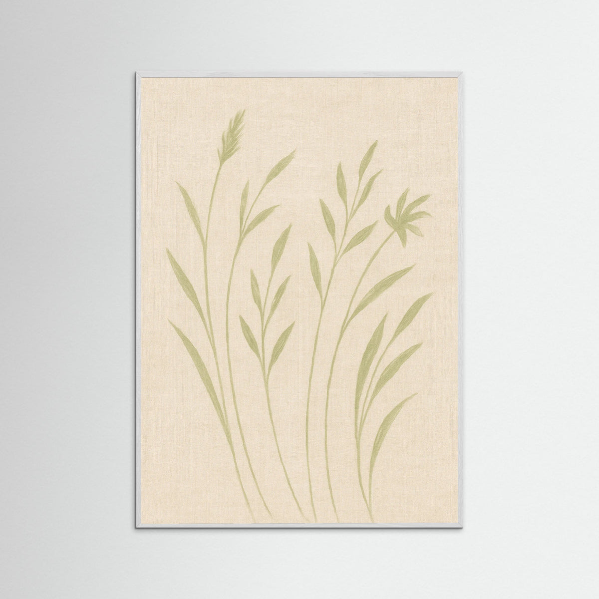 White Wood Soft field