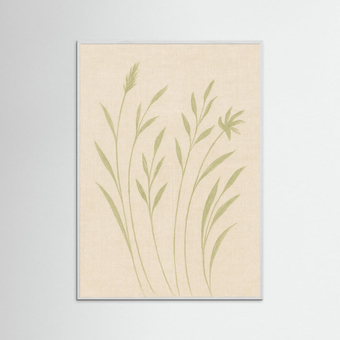 White Wood Soft field