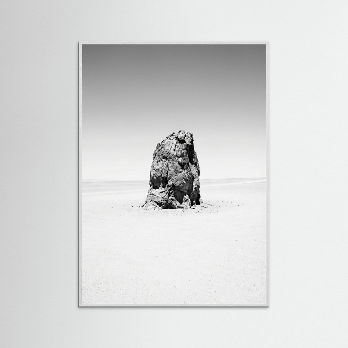 White Wood Solitary Bloom