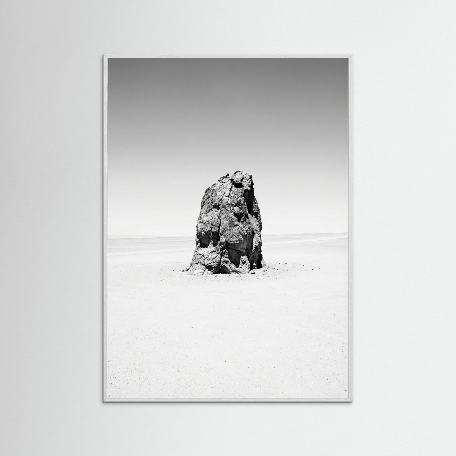 White Wood Solitary Bloom