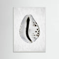 Spring Tide 01 Poster – poster and art print