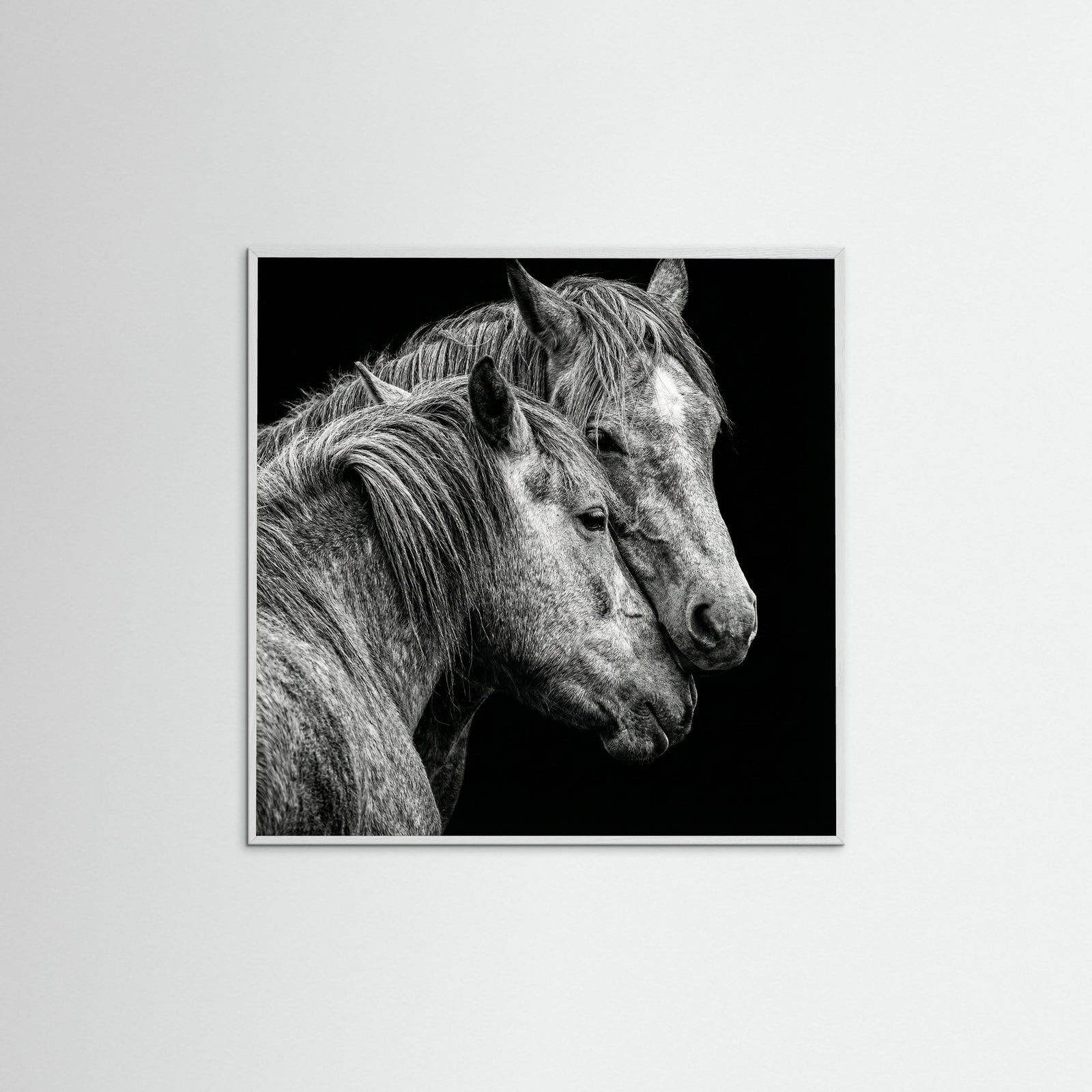 White Wood Square Avian Embrace