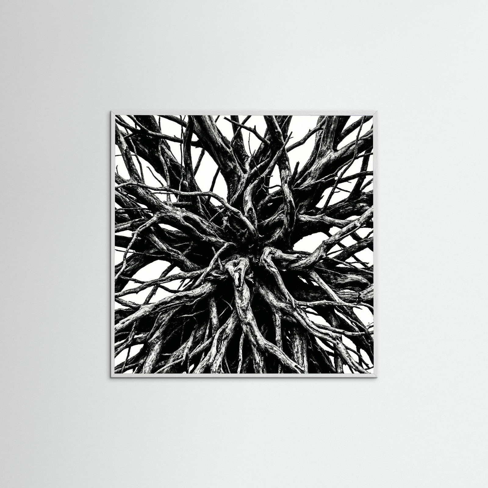 White Wood Square Dense Thicket