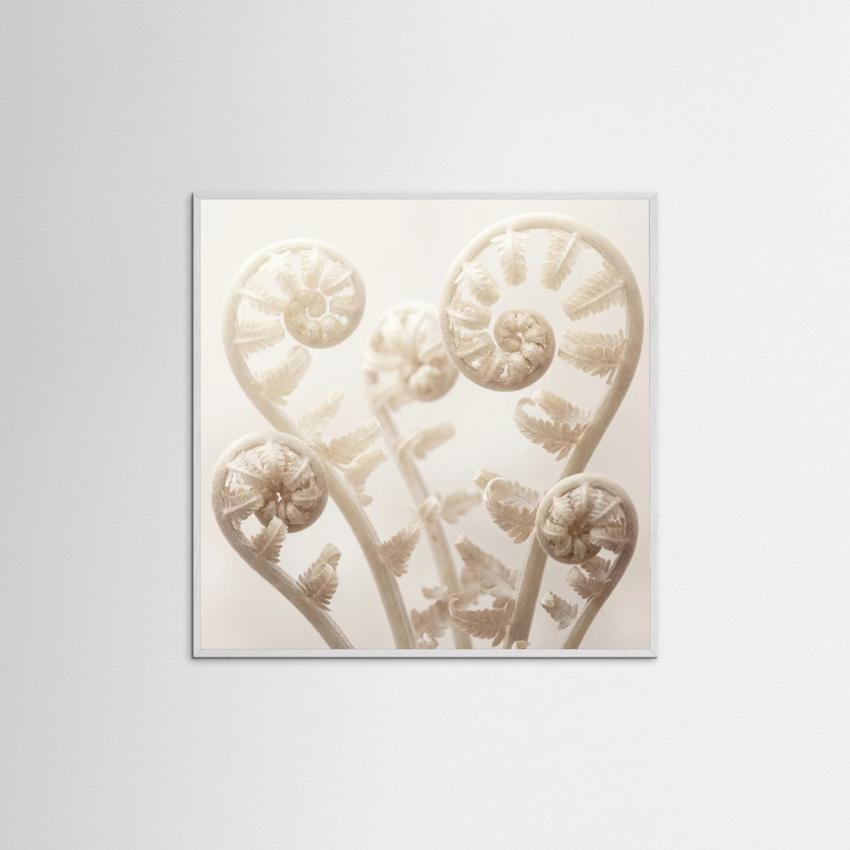 White Wood Square Ethereal Bloom