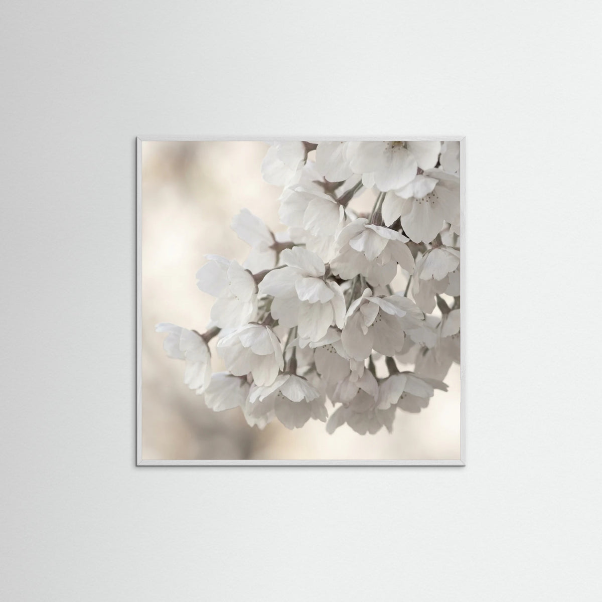 White Wood Square White Bloom Serenity