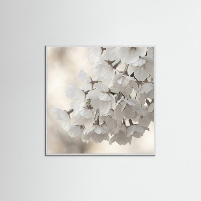 White Wood Square White Bloom Serenity