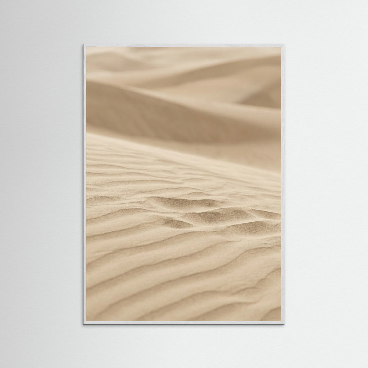 White Wood Sun Kissed Fronds