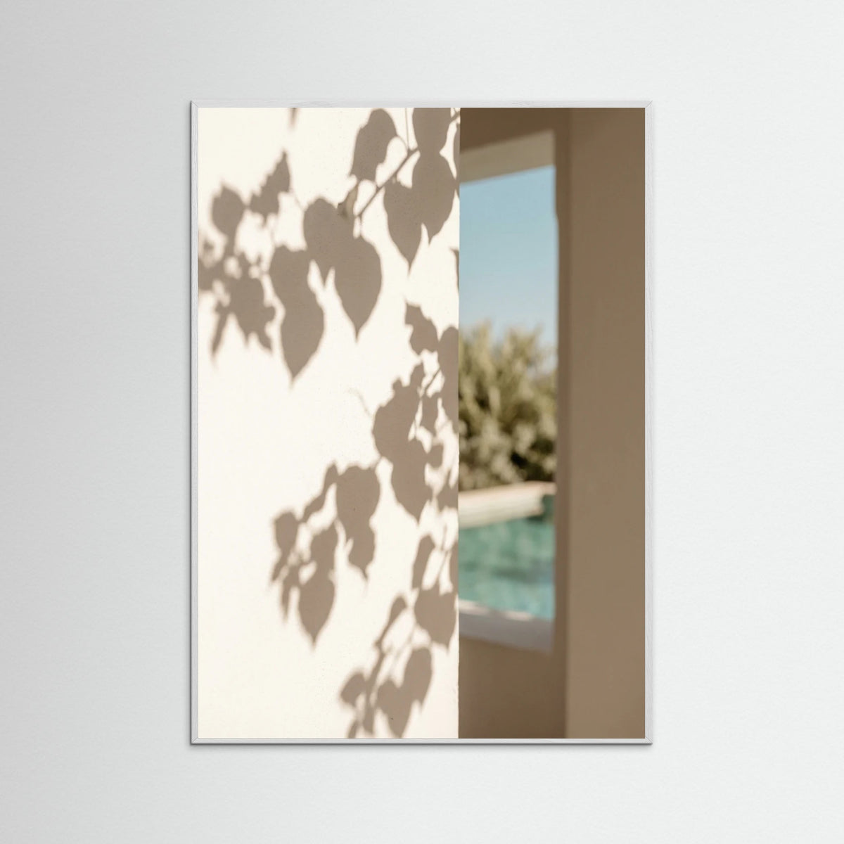 White Wood Sunlit Fronds