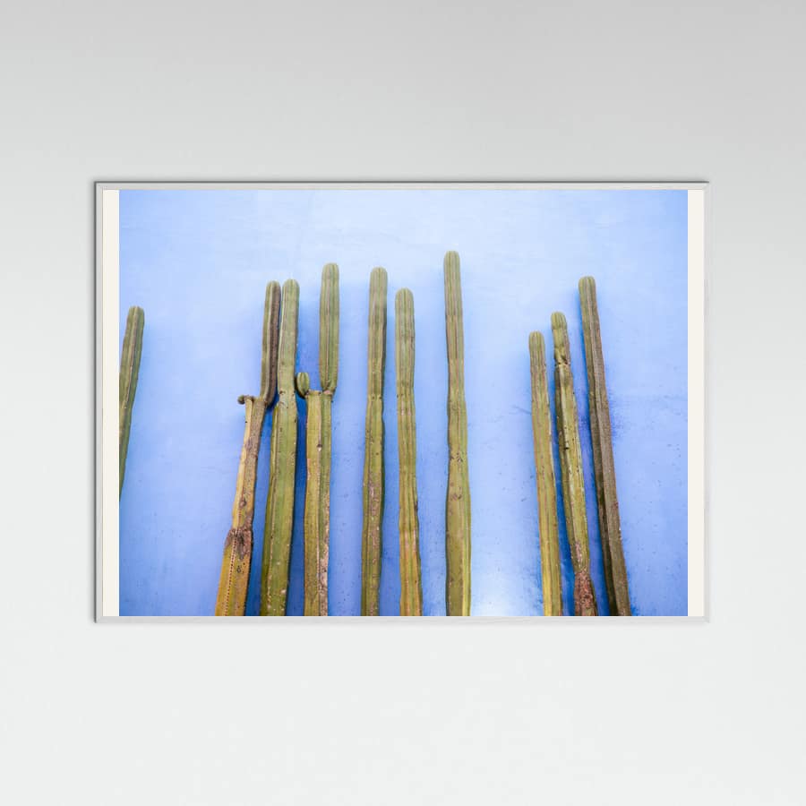 White Wood Tall Cacti on Blue | Oaxaca Mexico Travel Poster