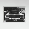 White Wood Texas Ride Poster