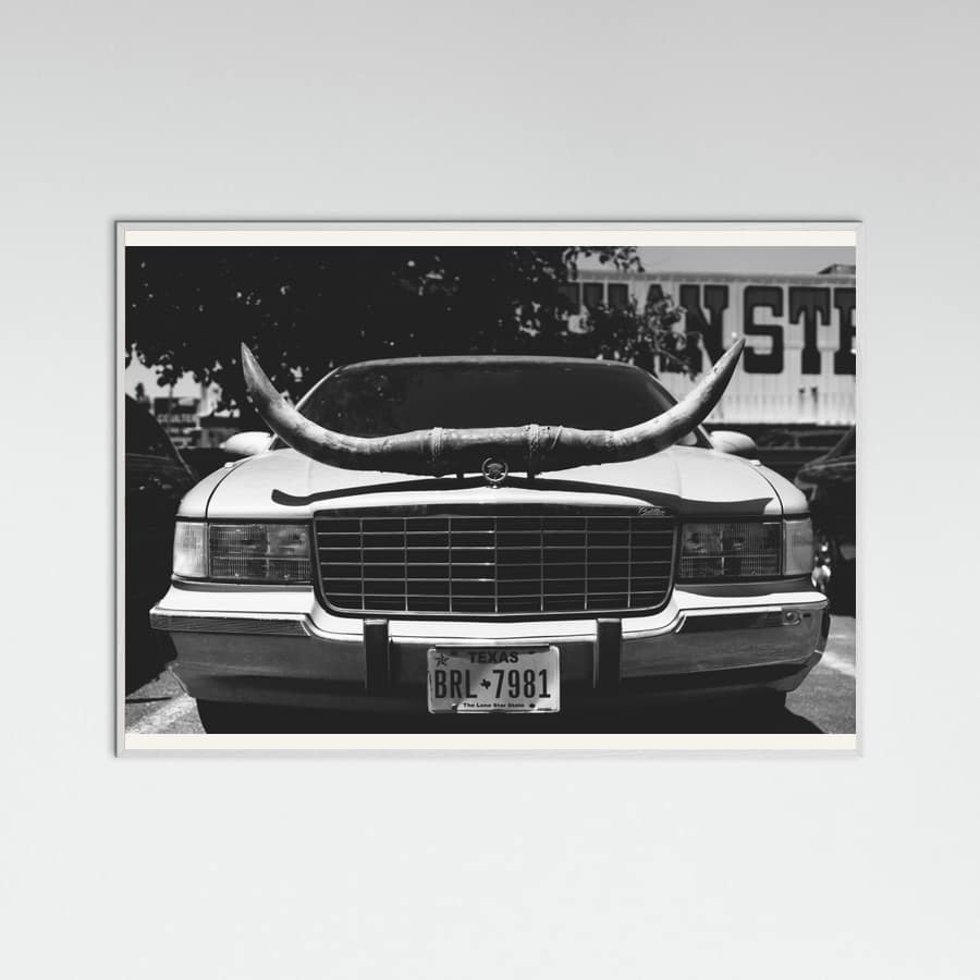 White Wood Texas Ride Poster