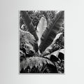 White Wood Tropical Canopy