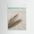 White Wood Tropical Serenity Path