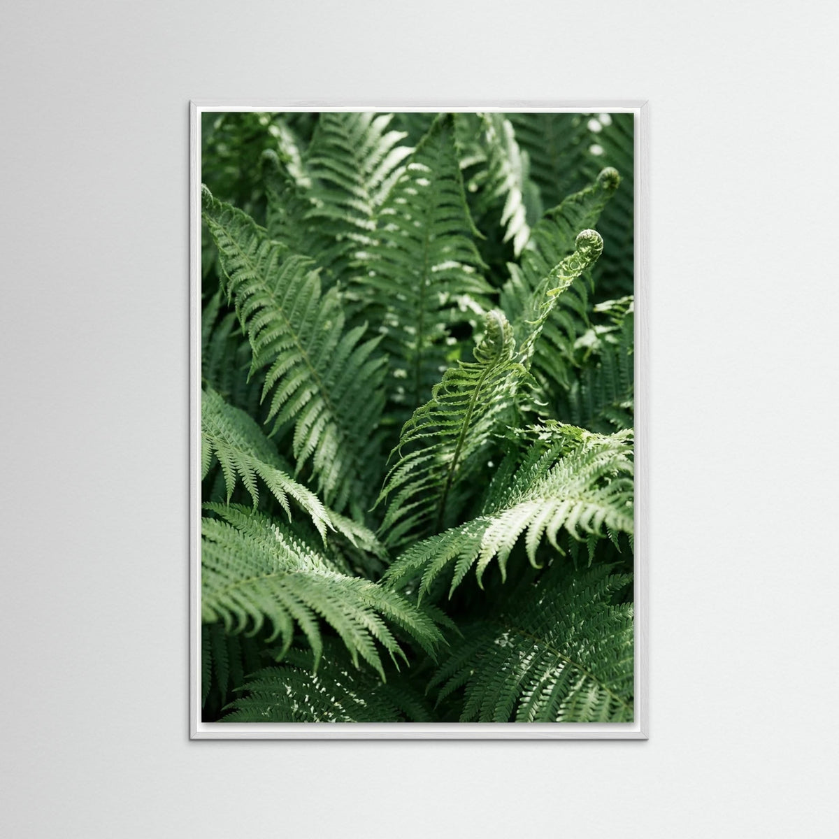 White Wood Tropical Serenity