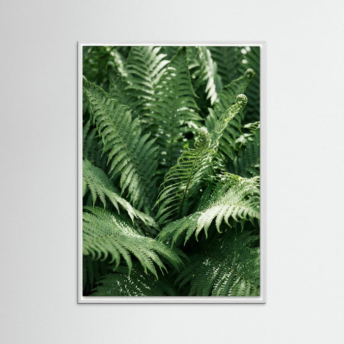 White Wood Tropical Serenity
