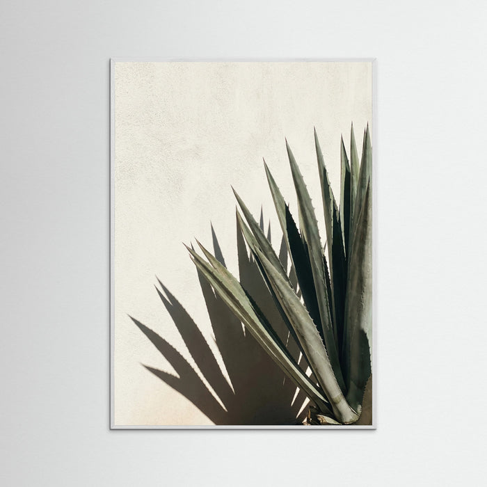 White Wood Tropical Shadows