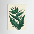 White Wood Verdant Calm