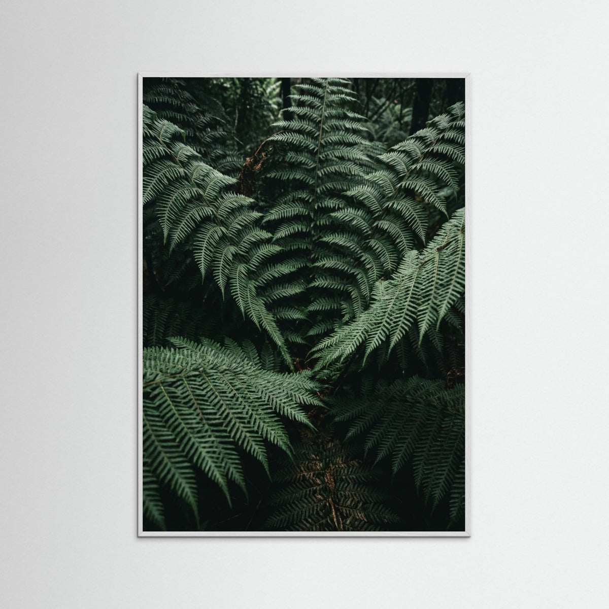 White Wood Verdant Depths