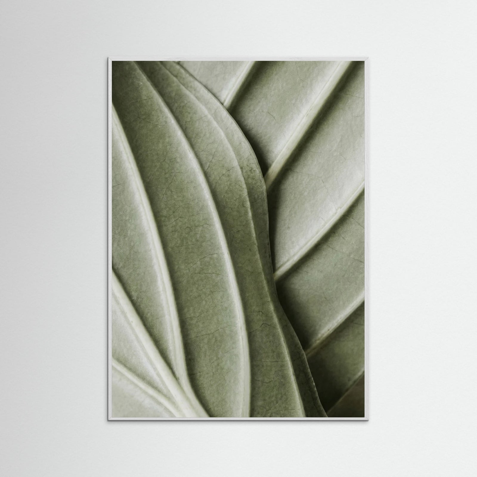 White Wood Verdant Folds
