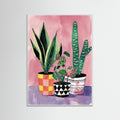 White Wood Vibrant Houseplant Trio