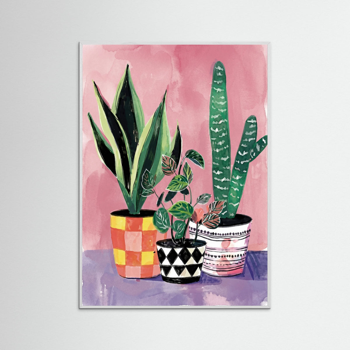 White Wood Vibrant Houseplant Trio