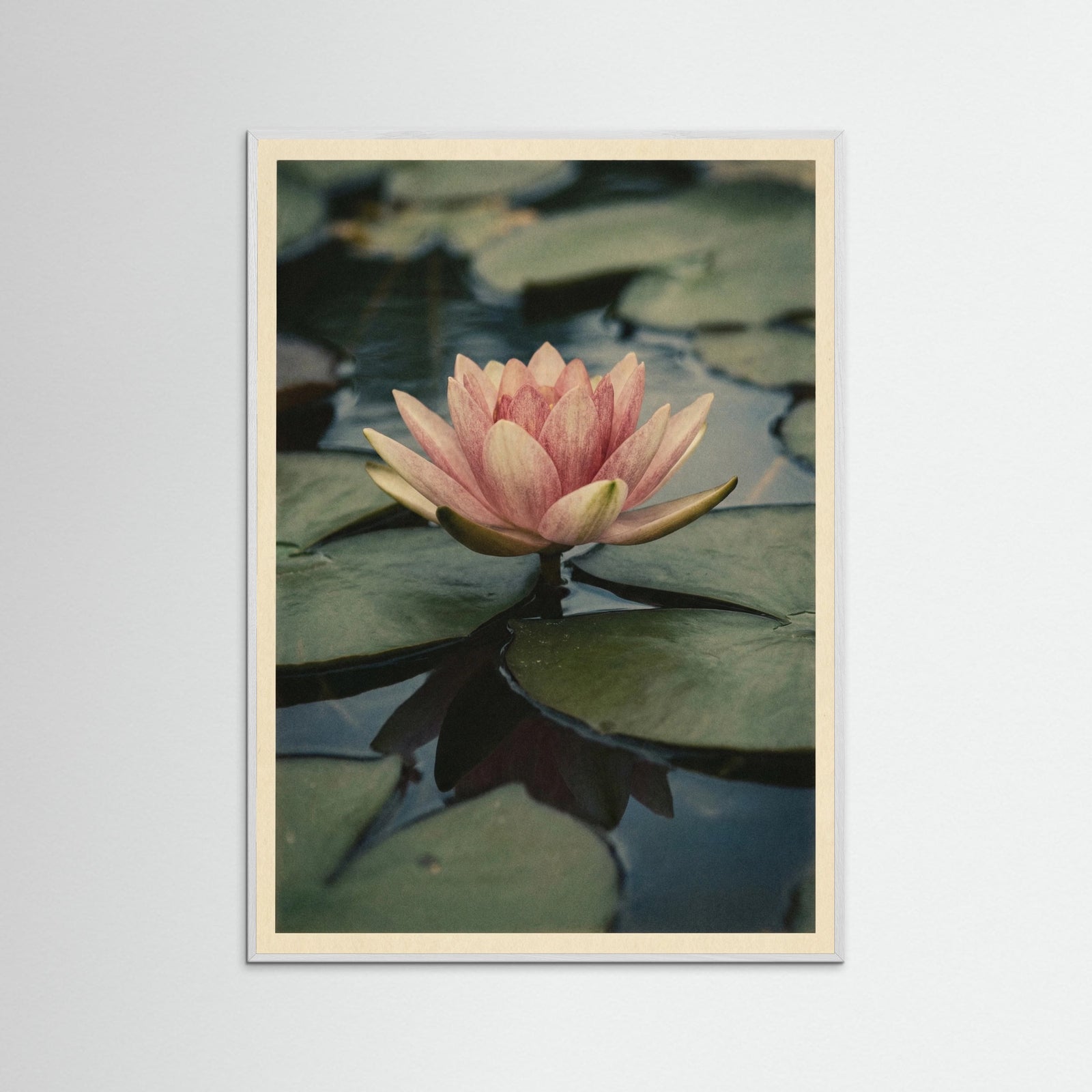 White Wood Vintage Lotus Study