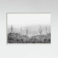 White Wood Western Cactus Poster