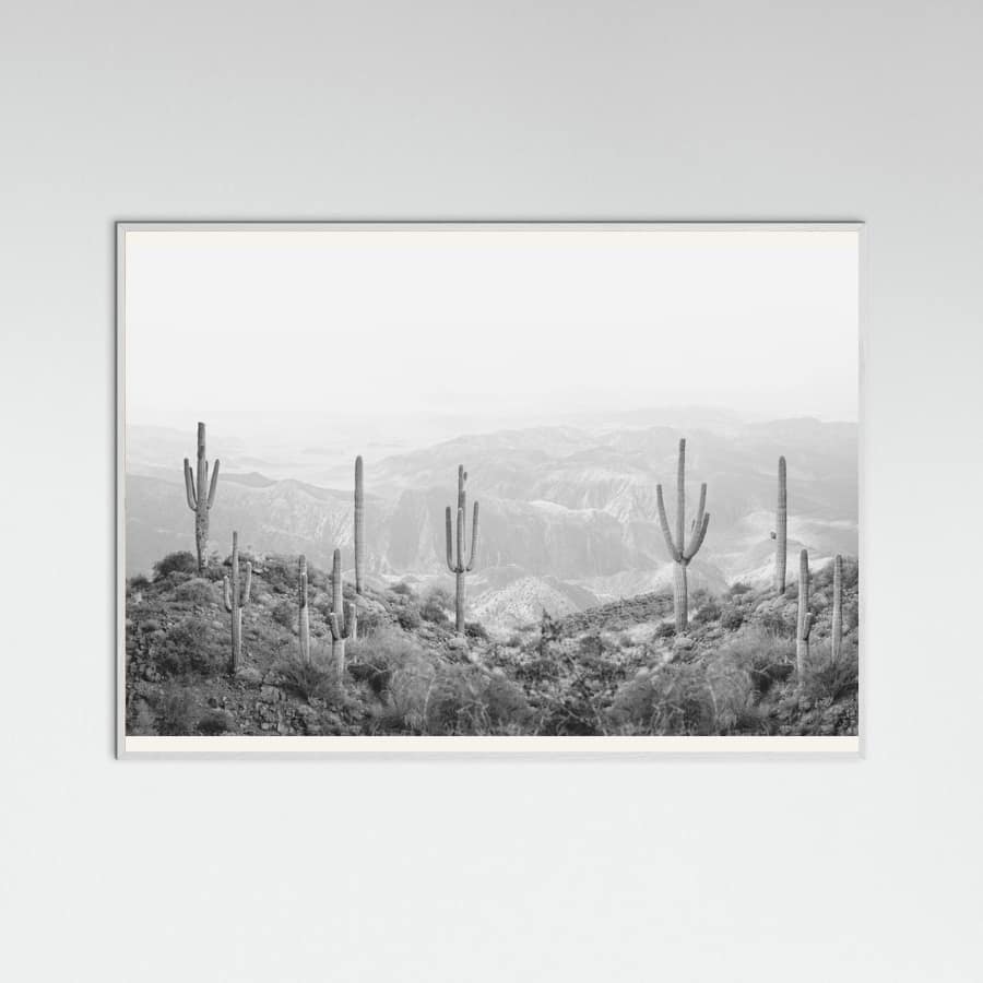 White Wood Western Cactus Poster