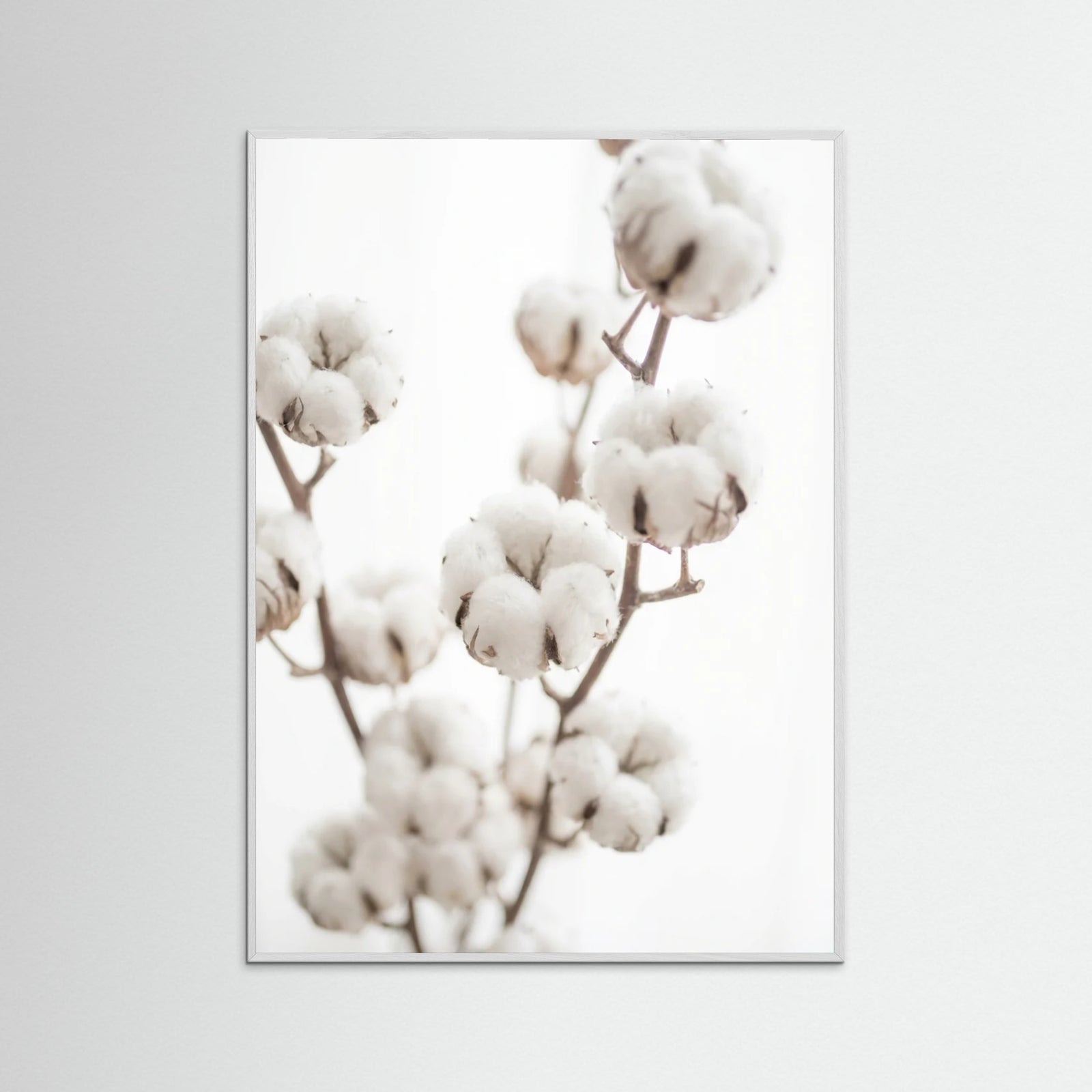 White Wood Whispering Reeds
